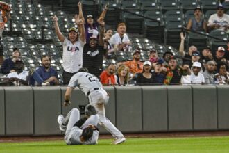 Nonostante le promesse di una rapida ripresa, i White Sox hanno toccato il fondo